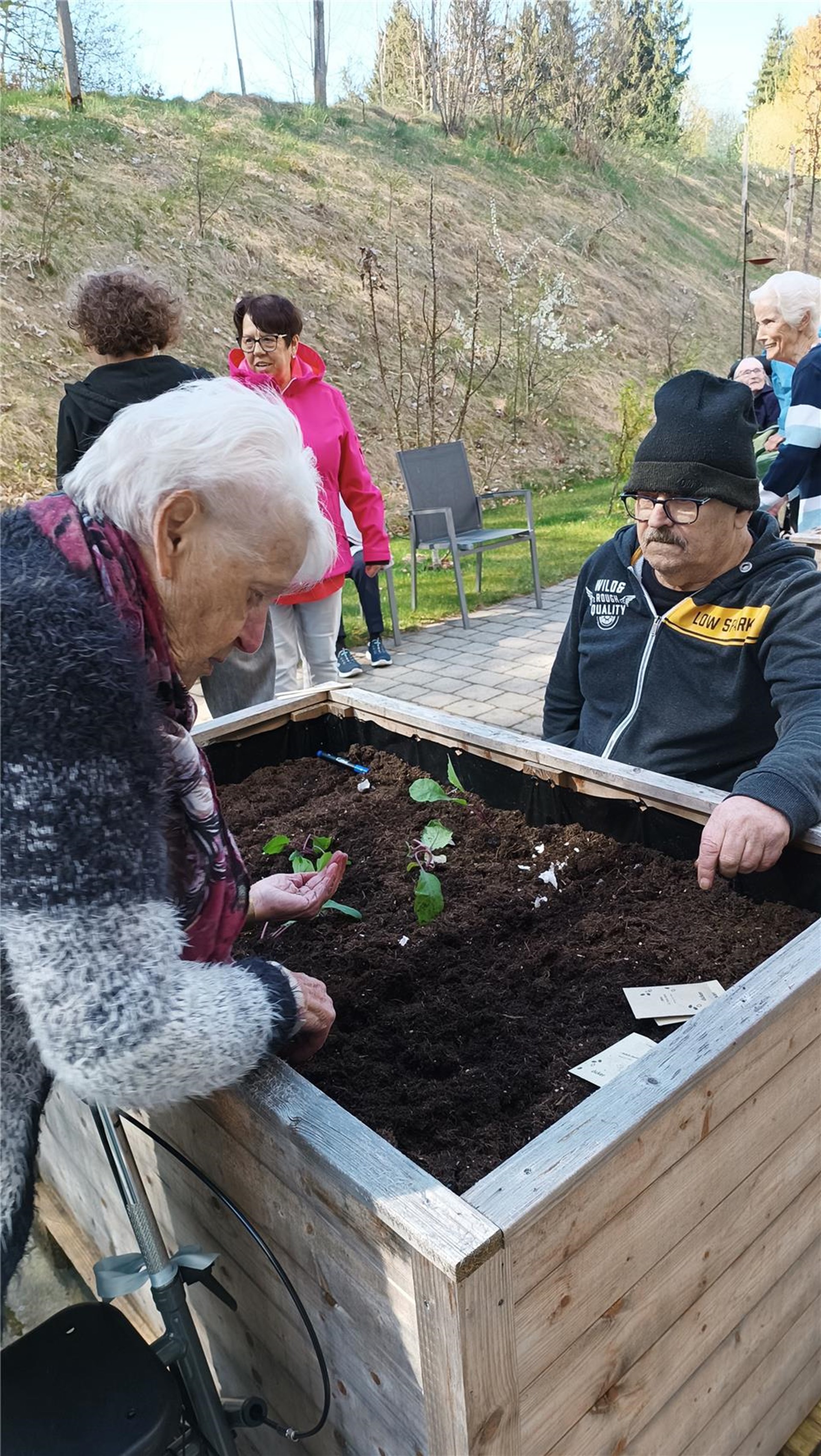 Senioren bepflanzen ein Hochbeet